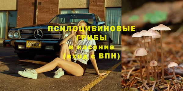МДПВ Белокуриха