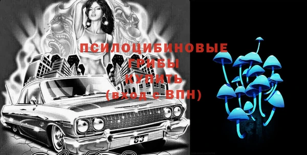 МДПВ Белокуриха