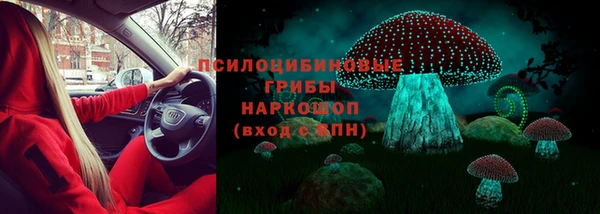 ALPHA PVP Беломорск