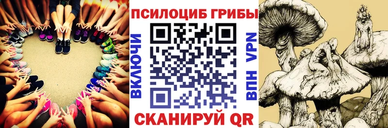 Псилоцибиновые грибы Magic Shrooms  Верхотурье 