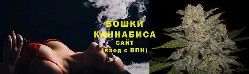 Каннабис OG Kush  Верхотурье 